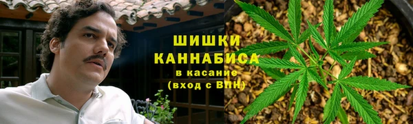 гидропоника Бугульма