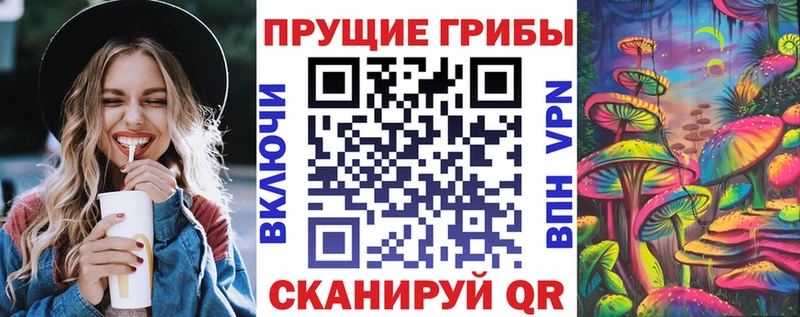 купить  цена  Донской  Галлюциногенные грибы мицелий 